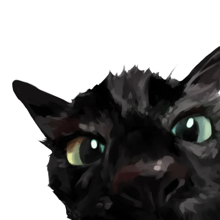 A curious cat peeking into the corner