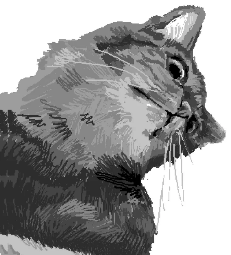 Graphite study of a cat, left