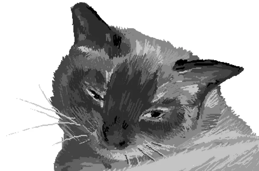 Graphite study of a cat, right